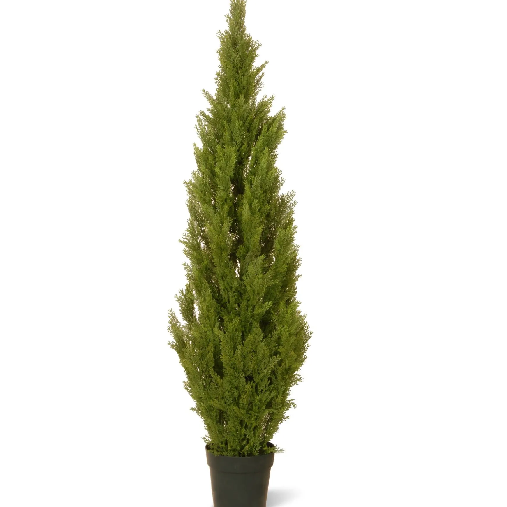 New National Tree Company 60" Artificial Arborvitae Tree In Growers Pot
