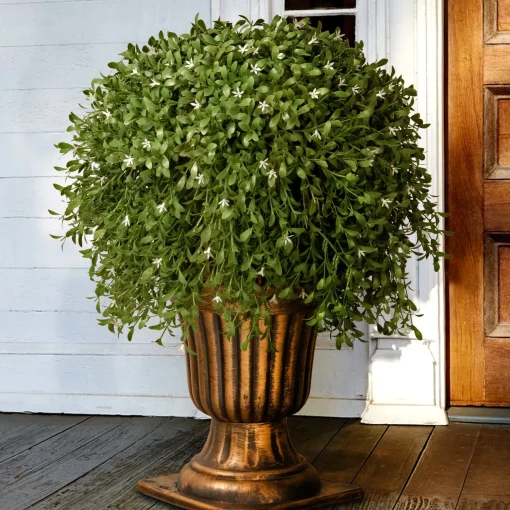 Discount National Tree Company 26" Artificial Argentea Plant