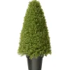 36" Artificial Boxwood Tree^National Tree Company Fashion