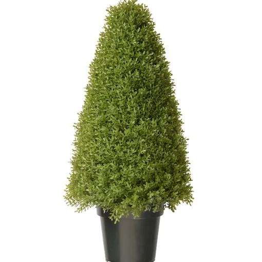 36" Artificial Boxwood Tree^National Tree Company Fashion