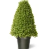 30" Artificial Boxwood Tree In Growers Pot^National Tree Company Store