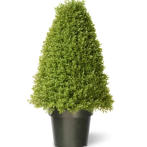 30" Artificial Boxwood Tree In Growers Pot^National Tree Company Store
