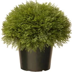 15" Artificial Globe Juniper^National Tree Company Cheap
