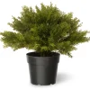 15" Artificial Globe Juniper^National Tree Company Hot
