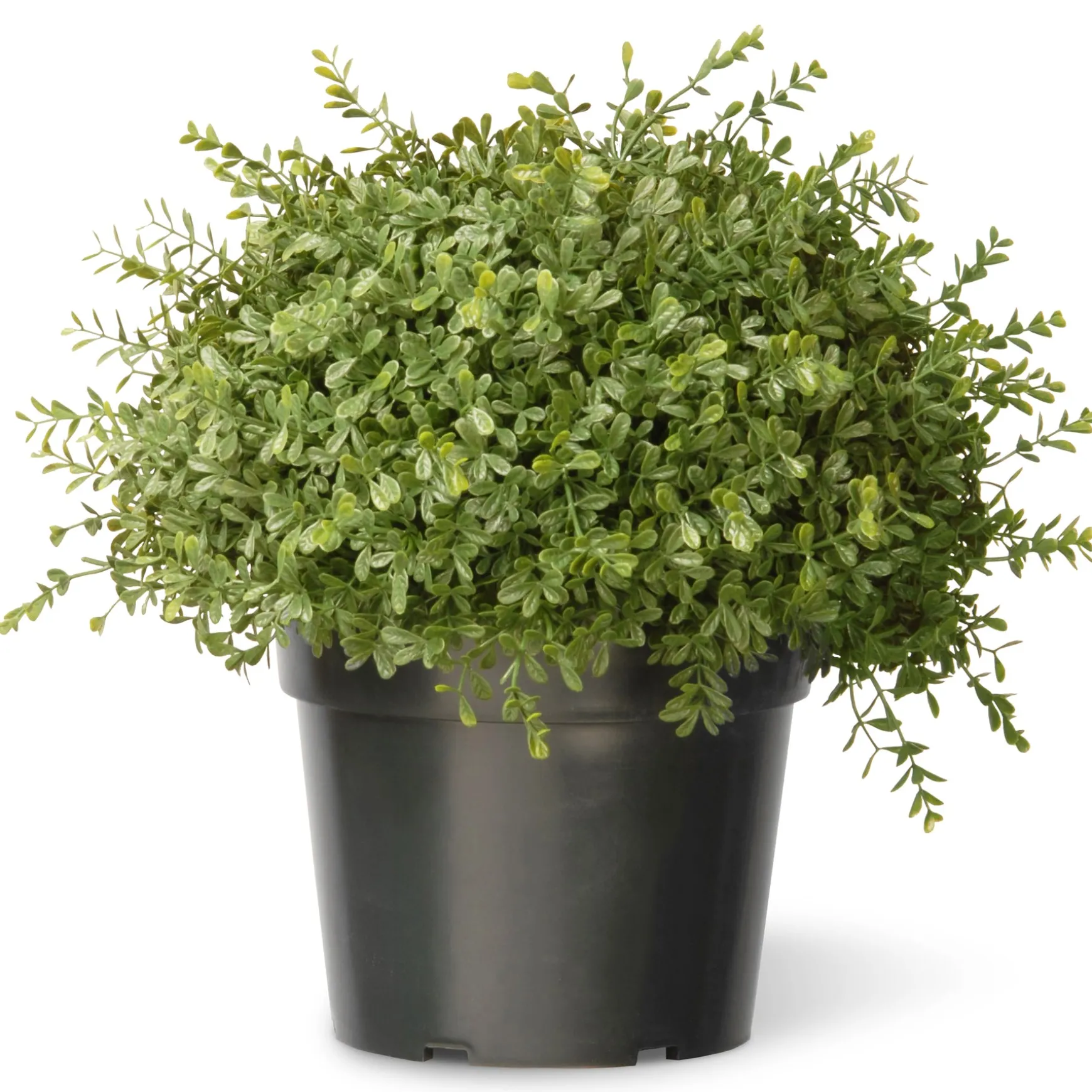 15" Artificial Mini Tea Leaf Bush In Growers Pot^National Tree Company Best