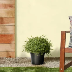 Fashion National Tree Company 15" Artificial Mini Tea Leaf Bush In Growers Pot