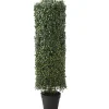 New National Tree Company 36" Boxwood Column Topiary