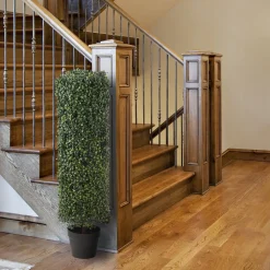 New National Tree Company 36" Boxwood Column Topiary