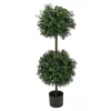 46" Boxwood Double Ball Topiary In Nursery Pot^National Tree Company Best