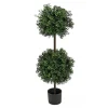 Shop National Tree Company 46" Boxwood Double Ball Topiary In Nursery Pot