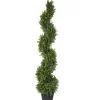 48" Boxwood Spiral^National Tree Company Best