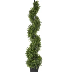 48" Boxwood Spiral^National Tree Company Best