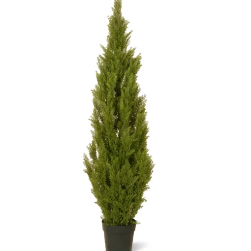 65" Cedar Tree^National Tree Company Cheap