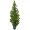 Clearance National Tree Company 62" Cedar Tree