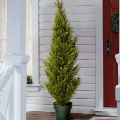 Cheap National Tree Company 53" Cedar Tree