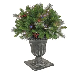 Clearance National Tree Company 24" Crestwood® Spruce Porch Bush With Twinkly Led Lights