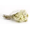 Fashion National Tree Company 16" Dried Natural Capeblumen Flowers Bouquet