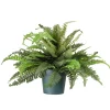 20" Fern In Dark Green Round Growers Pot^National Tree Company Shop