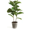 43" Fiddle Leaf Fig Tree^National Tree Company New
