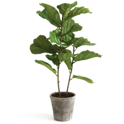 43" Fiddle Leaf Fig Tree^National Tree Company New