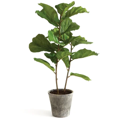 43" Fiddle Leaf Fig Tree^National Tree Company New