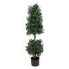 Store National Tree Company 4 Ft. Boxwood Cone And Ball Topiary In Nursery Pot