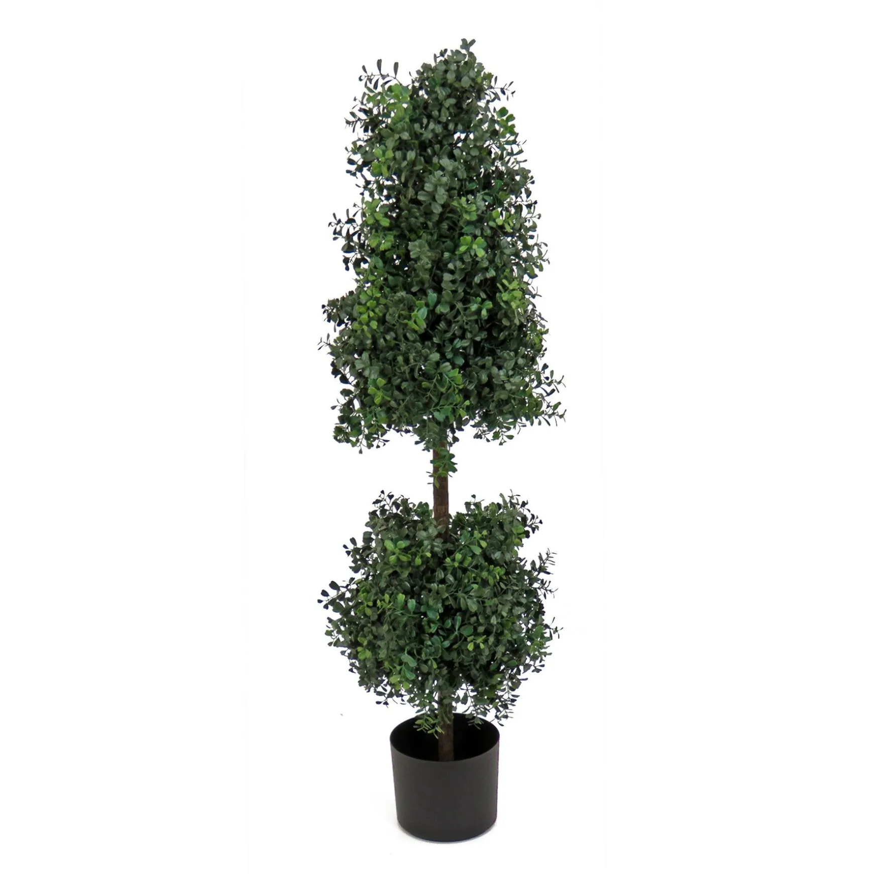 Store National Tree Company 4 Ft. Boxwood Cone And Ball Topiary In Nursery Pot