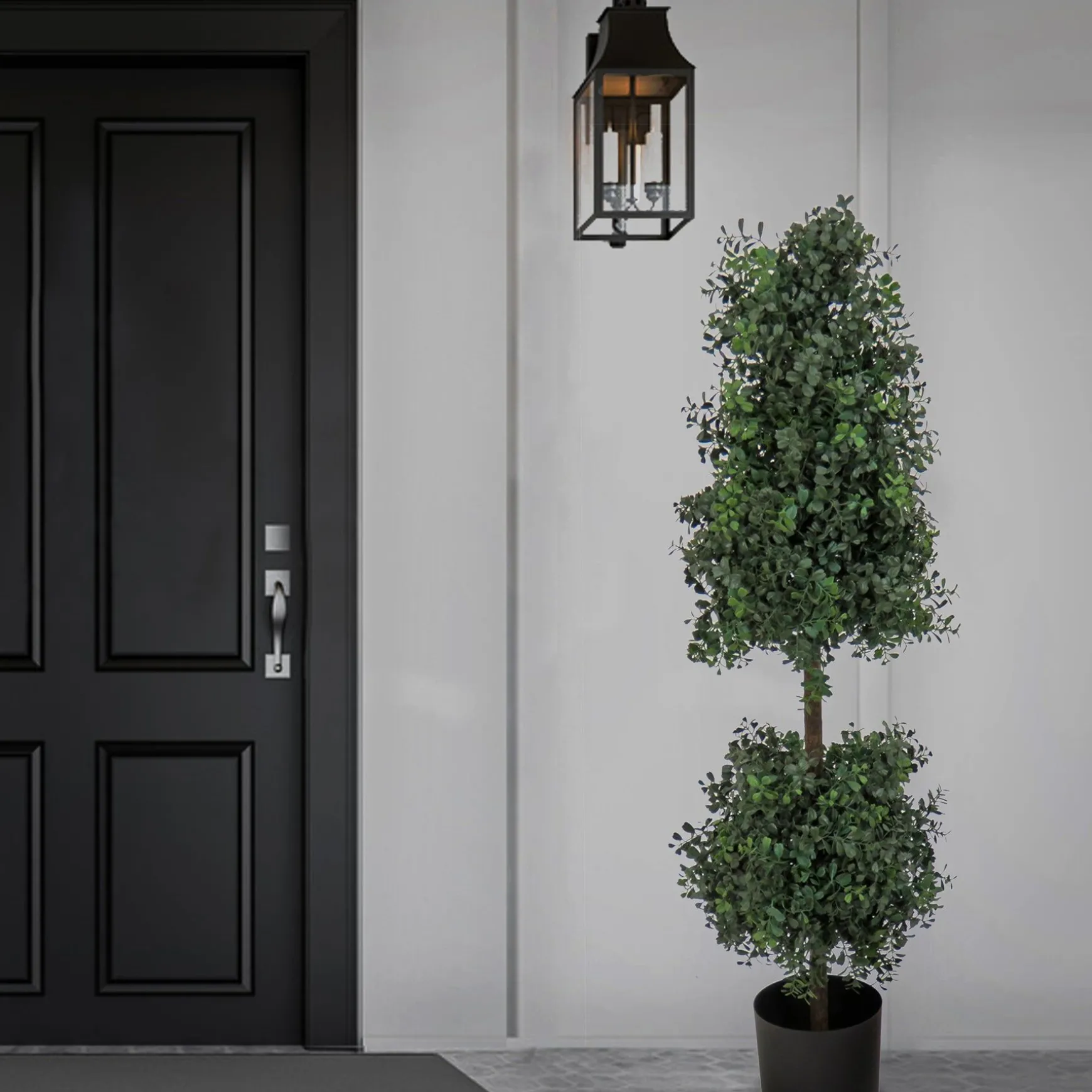 Store National Tree Company 4 Ft. Boxwood Cone And Ball Topiary In Nursery Pot