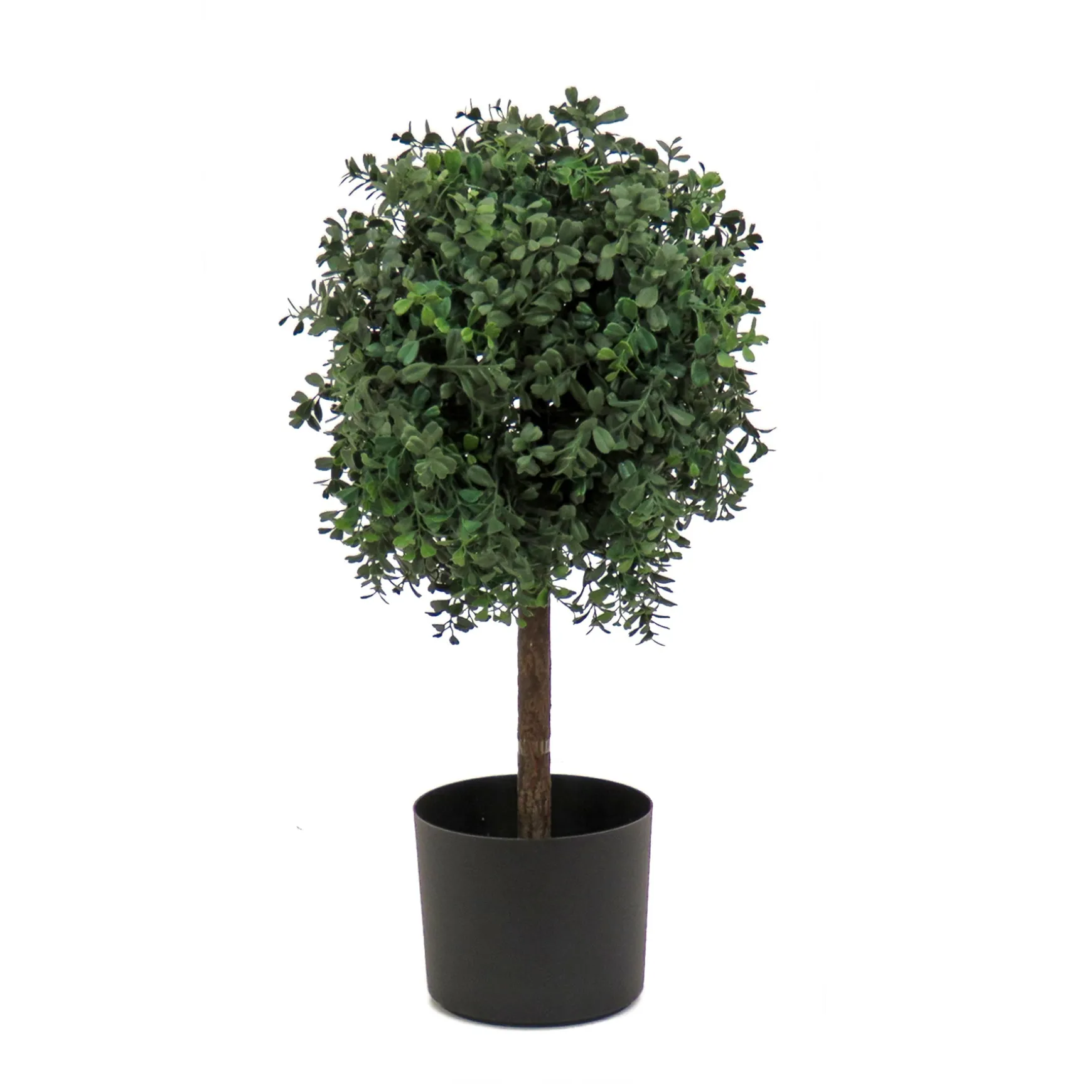 2 Ft. Boxwood Single Ball Topiary In Nursery Pot^National Tree Company Shop