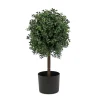 Fashion National Tree Company 2 Ft. Boxwood Single Ball Topiary In Nursery Pot