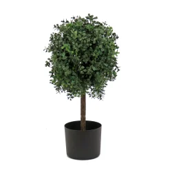 Fashion National Tree Company 2 Ft. Boxwood Single Ball Topiary In Nursery Pot
