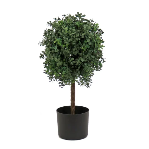 Fashion National Tree Company 2 Ft. Boxwood Single Ball Topiary In Nursery Pot