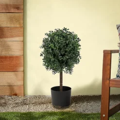 Fashion National Tree Company 2 Ft. Boxwood Single Ball Topiary In Nursery Pot