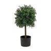 2 Ft. Boxwood Single Ball Topiary With Multi-Function Led Lights^National Tree Company Fashion