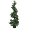 Cheap National Tree Company 4 Ft. Boxwood Spiral Topiary In Nursery Pot