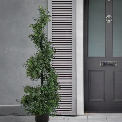 Cheap National Tree Company 4 Ft. Boxwood Spiral Topiary In Nursery Pot