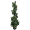 Clearance National Tree Company 4 Ft. Boxwood Spiral Topiary With Multi-Function Led Lights