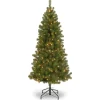 Best Sale National Tree Company 7 Ft. Canadian Grande Fir Tree With Clear Lights