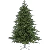 9 Ft Christmas Douglas Fir Tree With Warm White Led Lights^National Tree Company Outlet