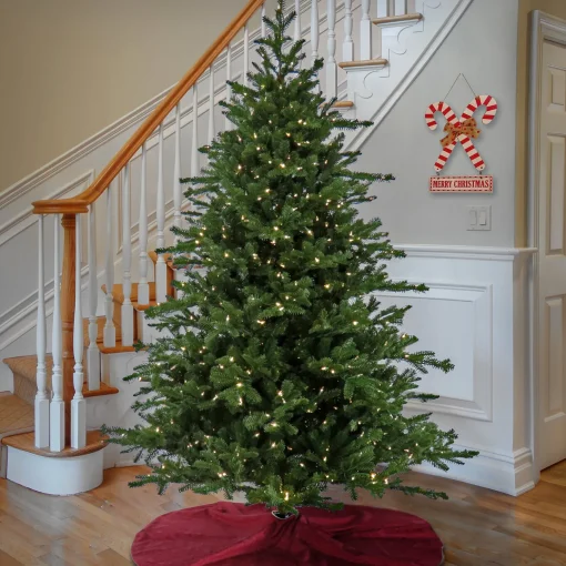 9 Ft Christmas Douglas Fir Tree With Warm White Led Lights^National Tree Company Outlet