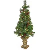 New National Tree Company 4 Ft. Crestwood Spruce Entrance Tree With Warm White Led Lights