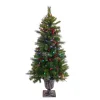 Sale National Tree Company 4 Ft. Crestwood® Spruce Entrance Tree With Twinkly Led Lights