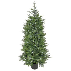 5 Ft. Cypress Tree With Multi-Function Led Lights^National Tree Company Best