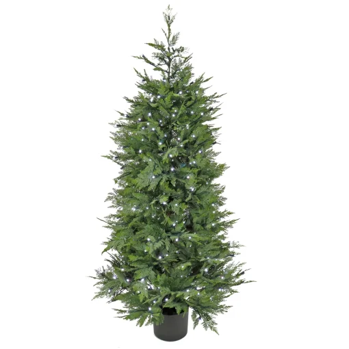 5 Ft. Cypress Tree With Multi-Function Led Lights^National Tree Company Best