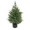 Cheap National Tree Company 3 Ft. Cypress Tree With Multi-Function Led Lights