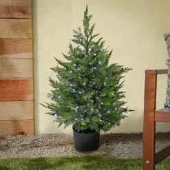 Cheap National Tree Company 3 Ft. Cypress Tree With Multi-Function Led Lights