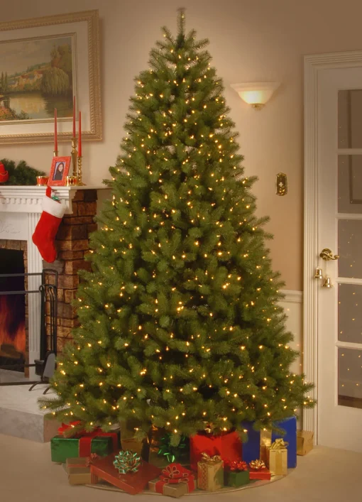 7.5 Ft Downswept Douglas Fir Tree With Dual Color Led Lights^National Tree Company Store