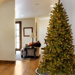 Shop National Tree Company 7.5 Ft. Downswept Douglas(R) Slim Fir Tree With Clear Lights