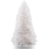 7 Ft Dunhill® White Fir Tree^National Tree Company Outlet