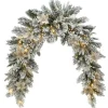 Best National Tree Company 6 Ft Frosted Colonial Fir Swag With Battery Operated Led Lights